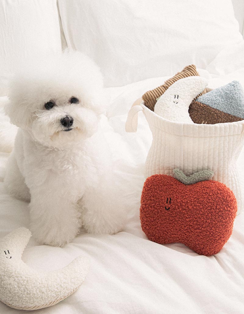 BonBon Green Eco-Friendly Home Buddy Cushion (3 Designs)