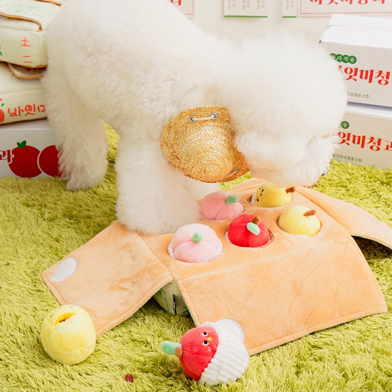 Mixed Fruits Box Nose Work Dog Toy
