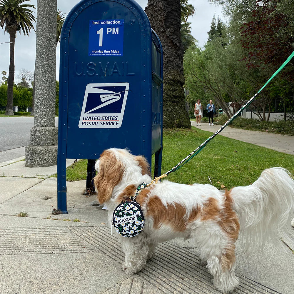 Dingle Dangle Poop Bag Carrier | Big Fish