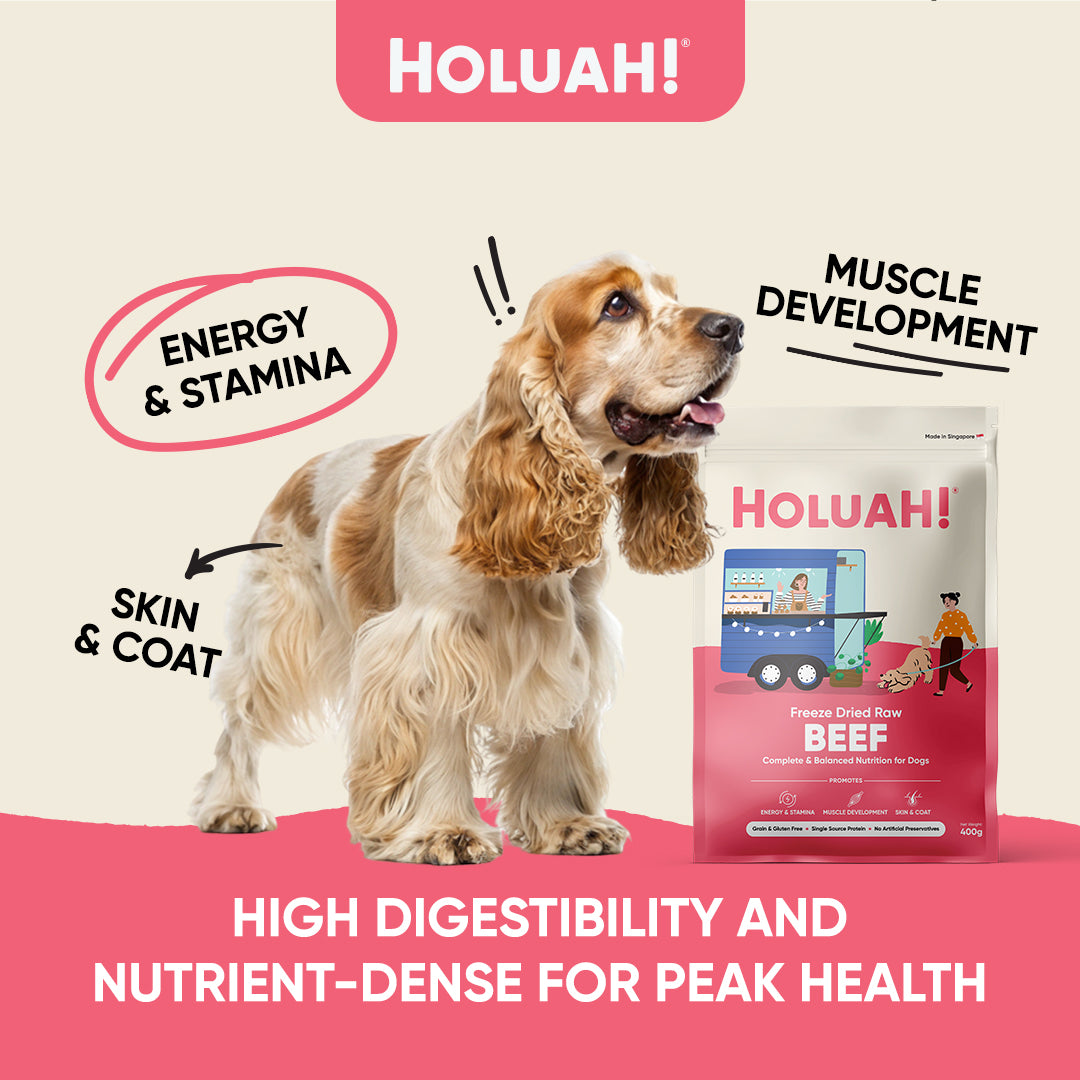 Freeze Dried Beef Dog Food (400g)