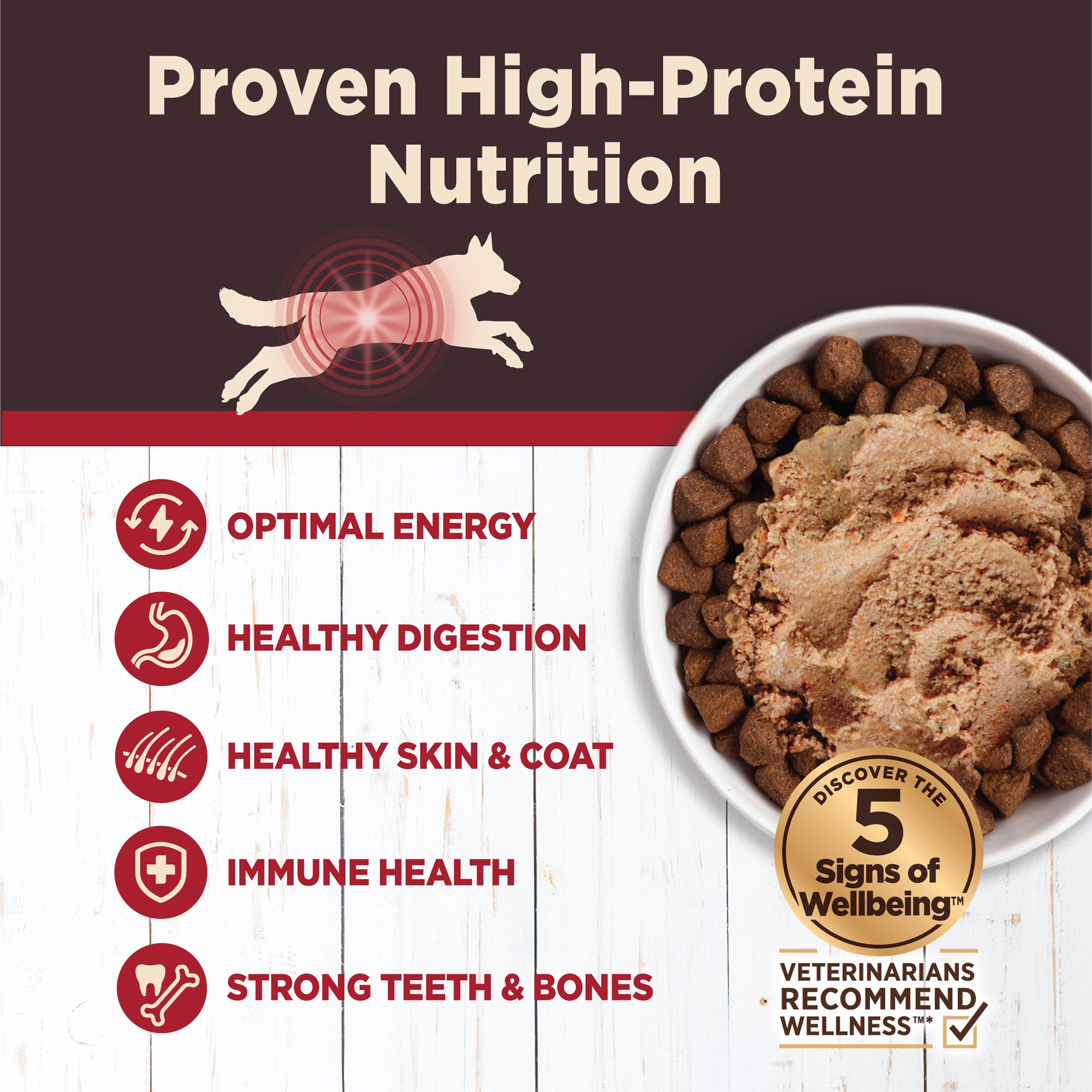 Wellness CORE Digestive Health Beef Grain-Free Canned Wet Dog Food (13oz)