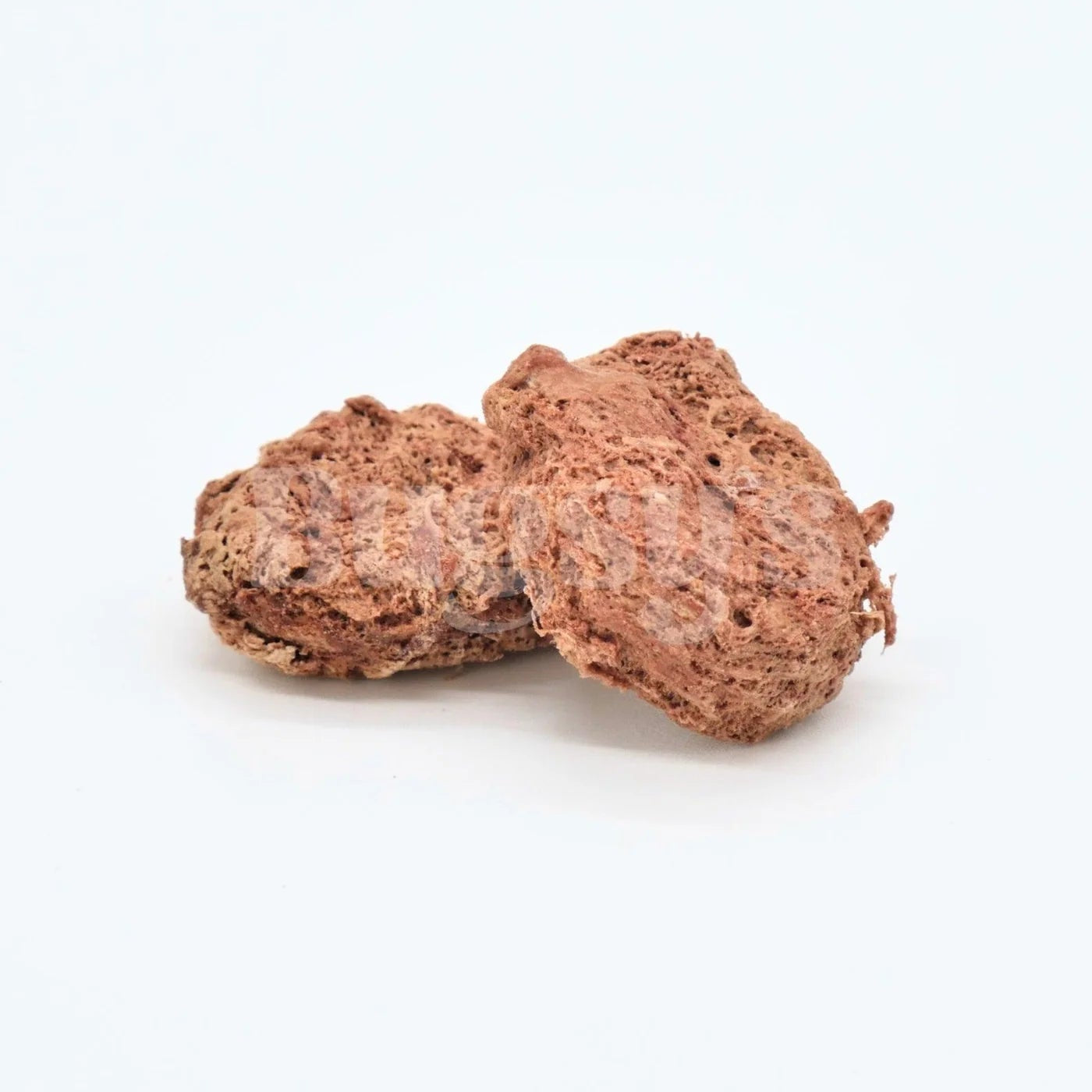 Kangaroo & Cordyceps | Energy & Stamina Freeze Dried Treats For Dogs and Cats