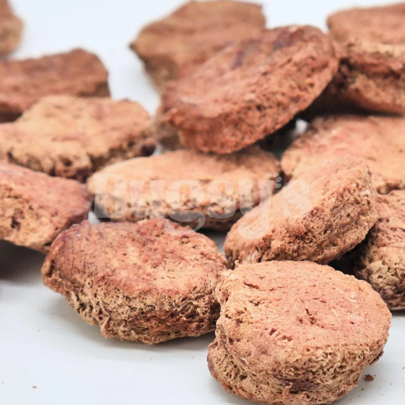 Kangaroo & Cordyceps | Energy & Stamina Freeze Dried Treats For Dogs and Cats