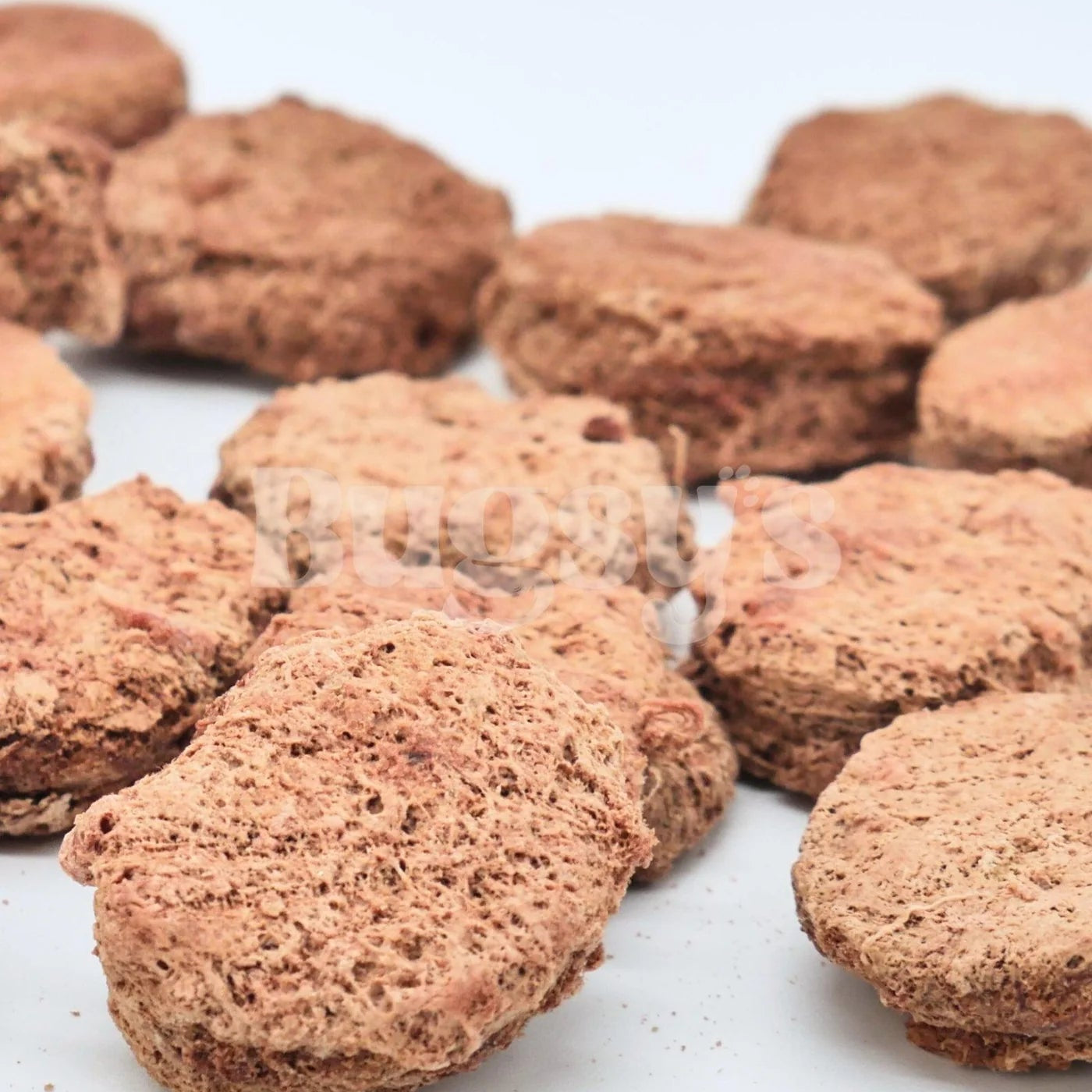 Kangaroo & Cordyceps | Energy & Stamina Freeze Dried Treats For Dogs and Cats