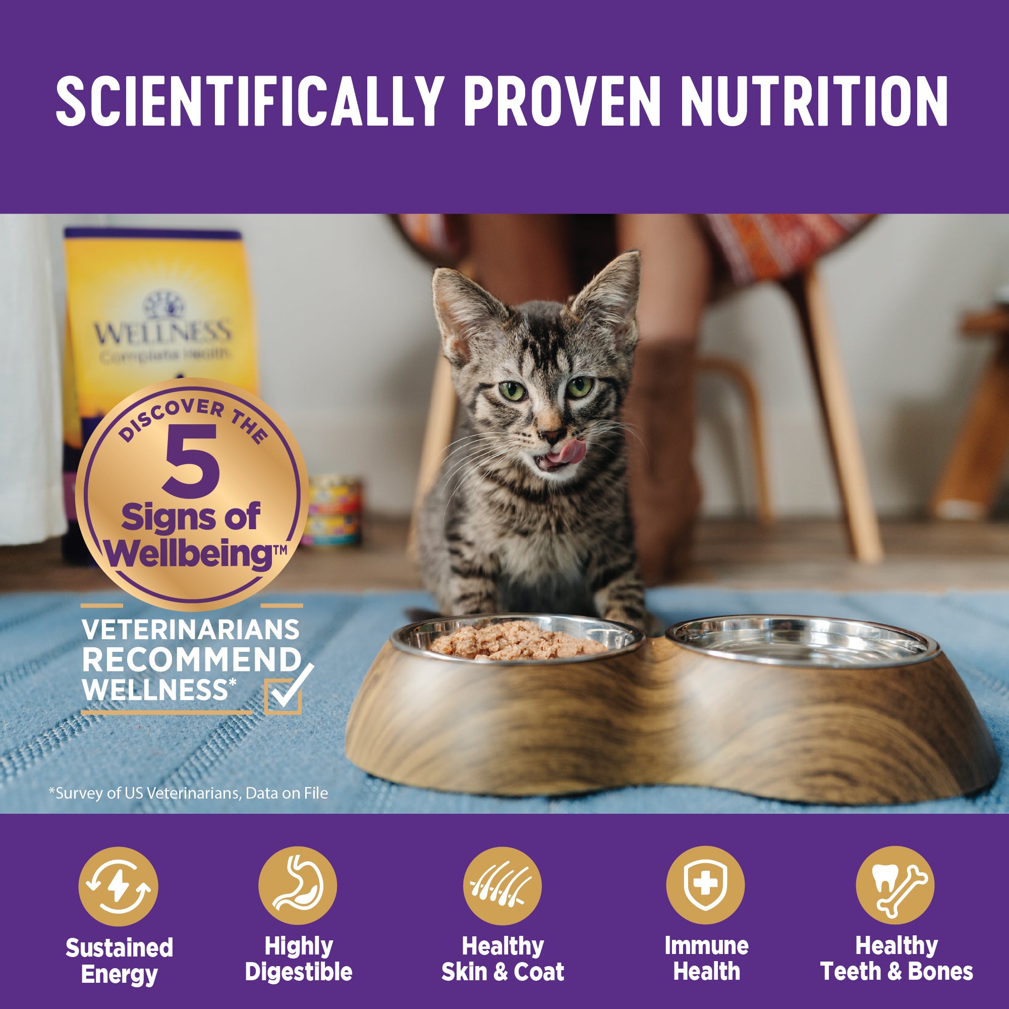 Complete Health™ Sliced Wet Cat Food | Chicken Entrée (5.5 oz)