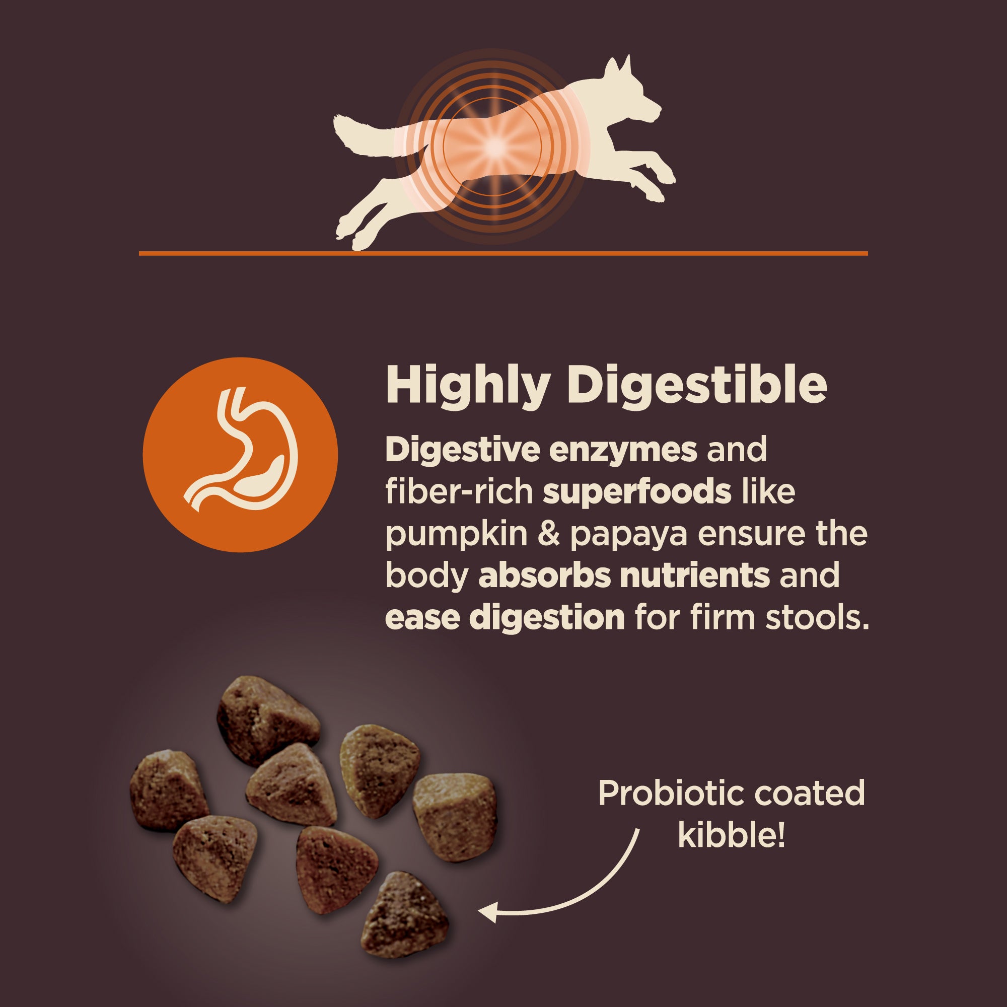 Wellness CORE Digestive Health Chicken & Brown Rice Adult Dry Dog Food