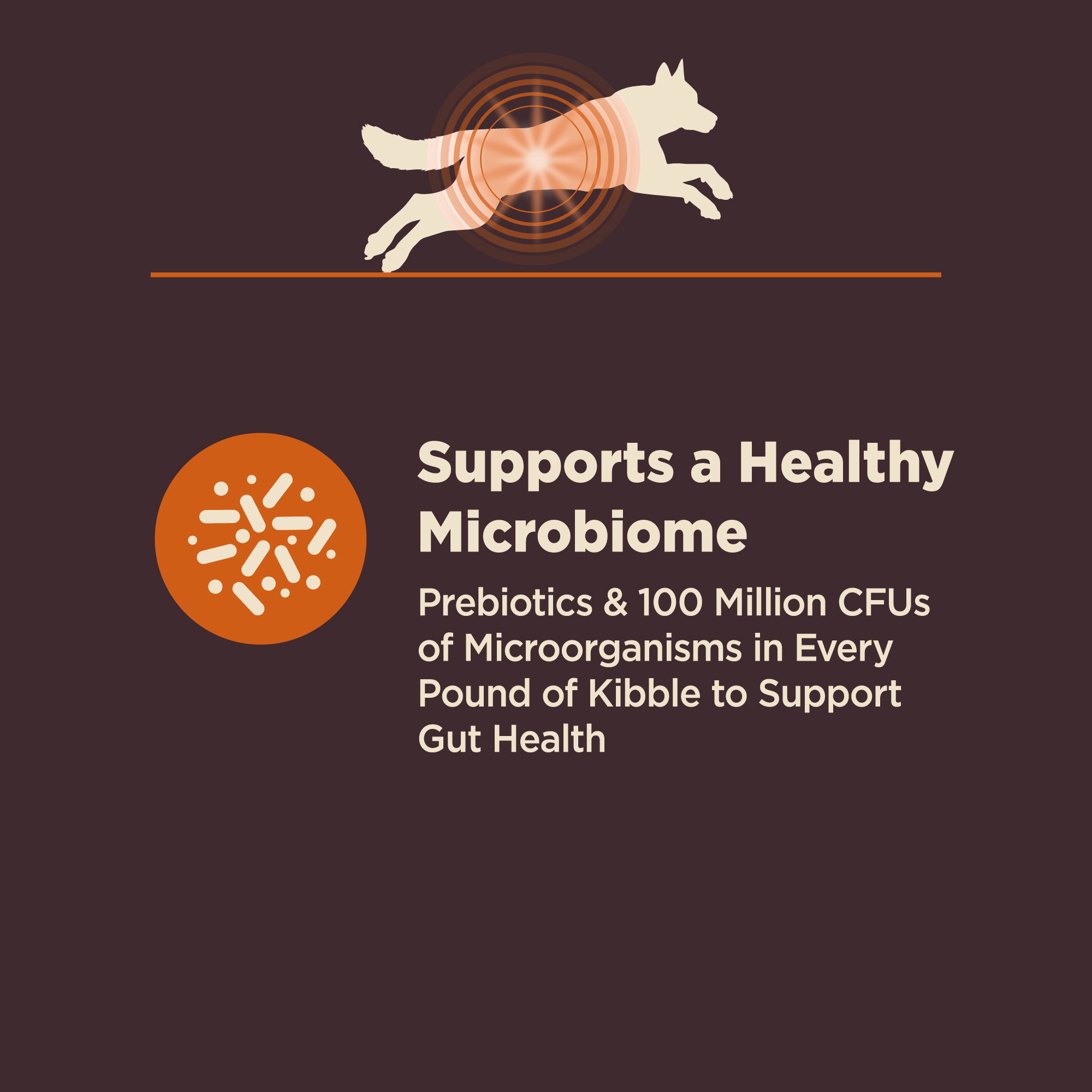 Wellness CORE Digestive Health Chicken & Brown Rice Adult Dry Dog Food