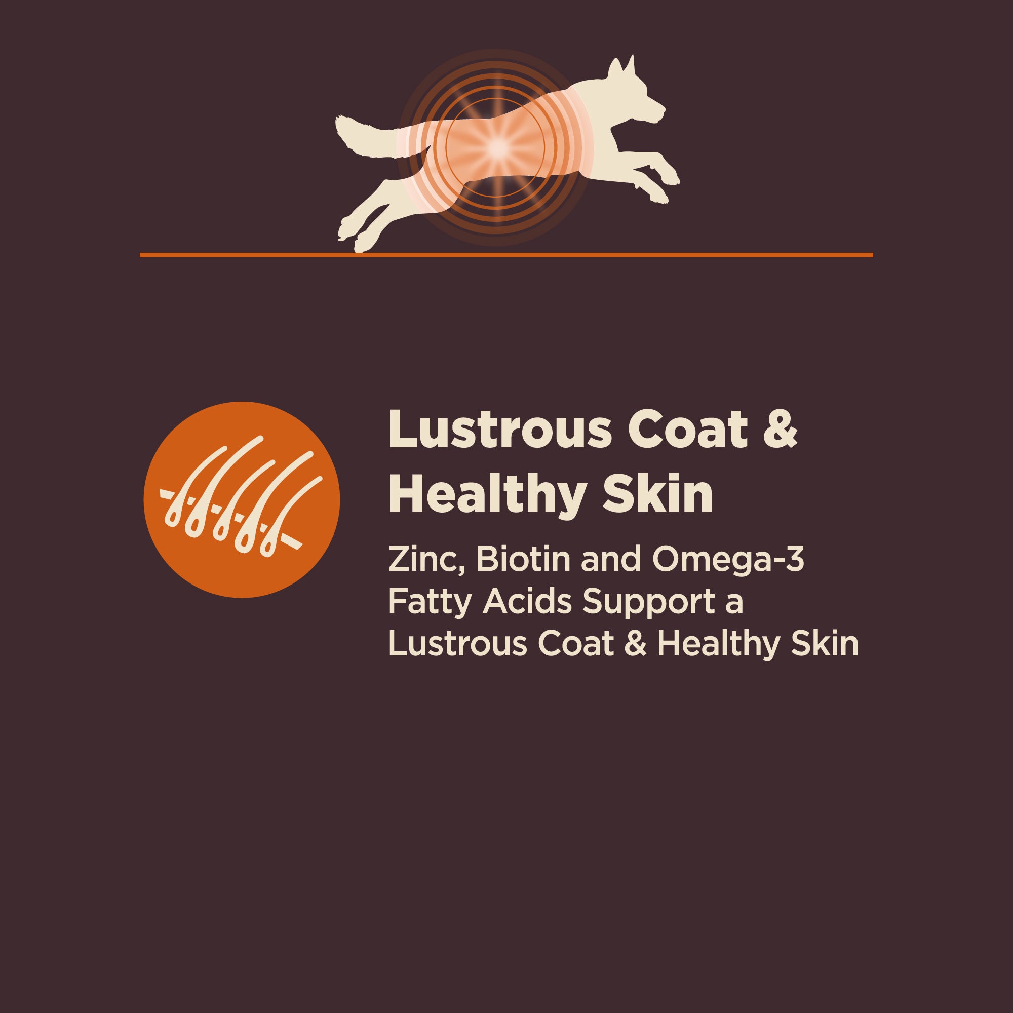 Wellness CORE Digestive Health Chicken & Brown Rice Adult Dry Dog Food