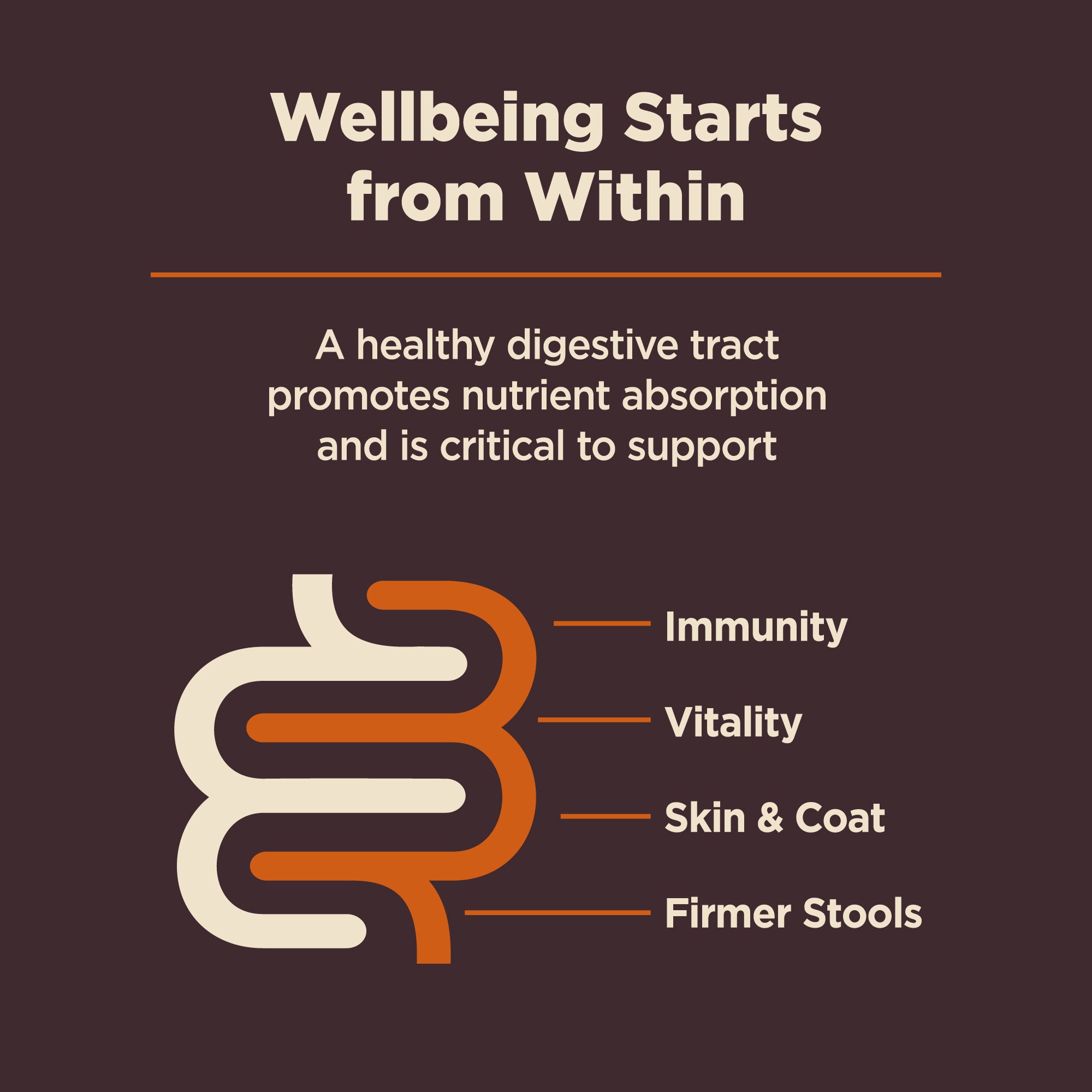 Wellness CORE Digestive Health Chicken & Brown Rice Adult Dry Dog Food