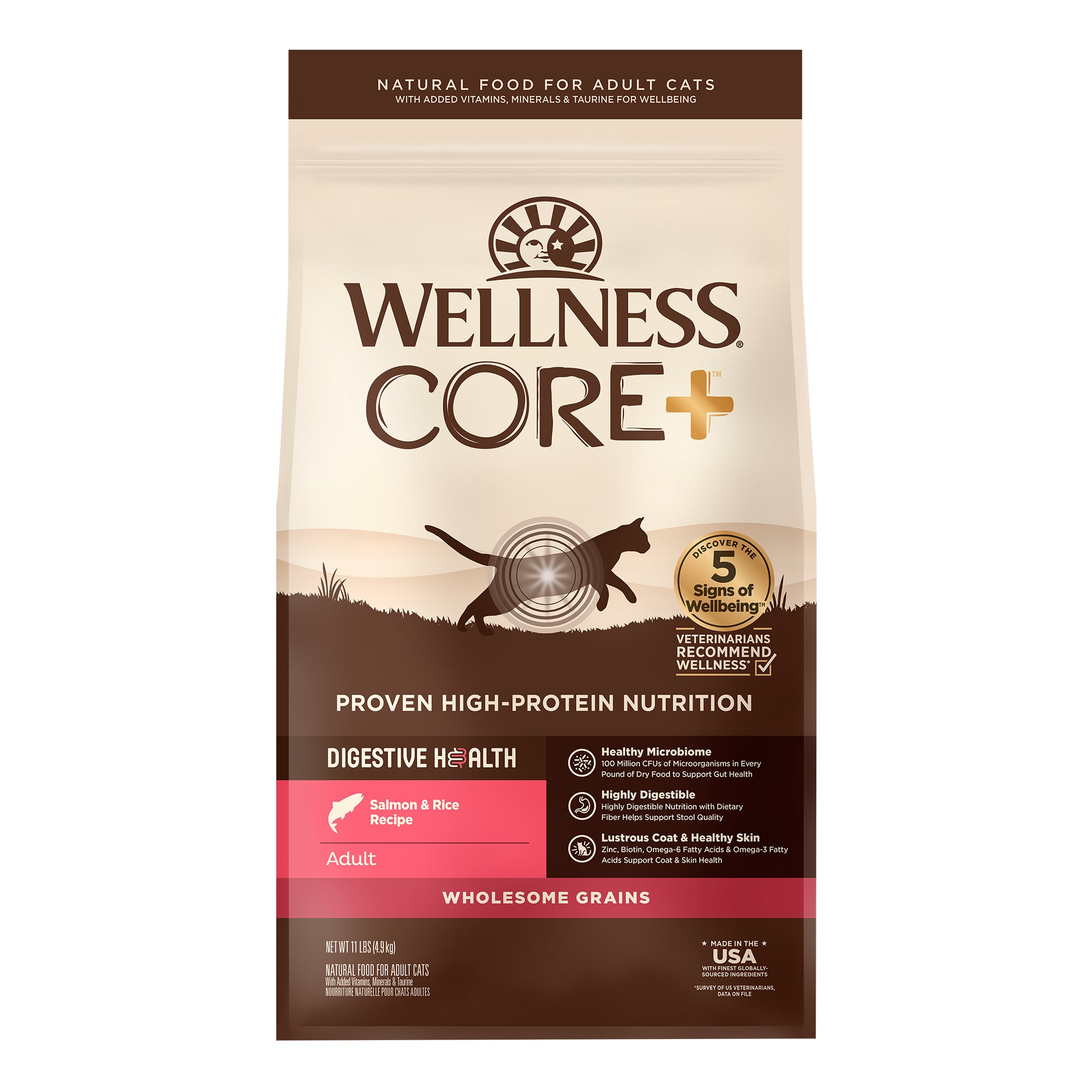 CORE® Digestive Health with Wholesome Grains Dry Cat Food | Salmon