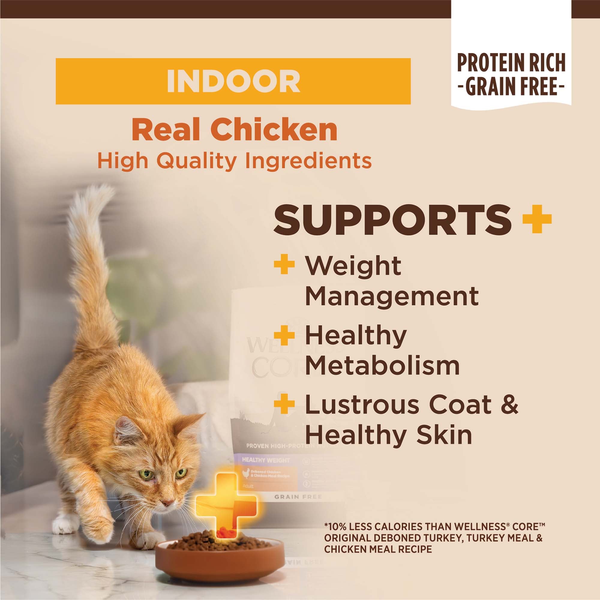 CORE® Indoor Deboned Chicken, Turkey & Chicken Meal