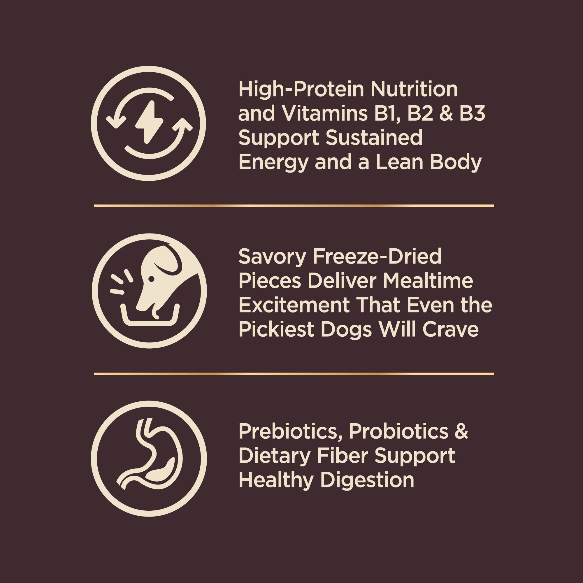 Wellness Core+ (formerly Rawrev) Original With Freeze Dried Turkey Grain Free Dry Dog Food