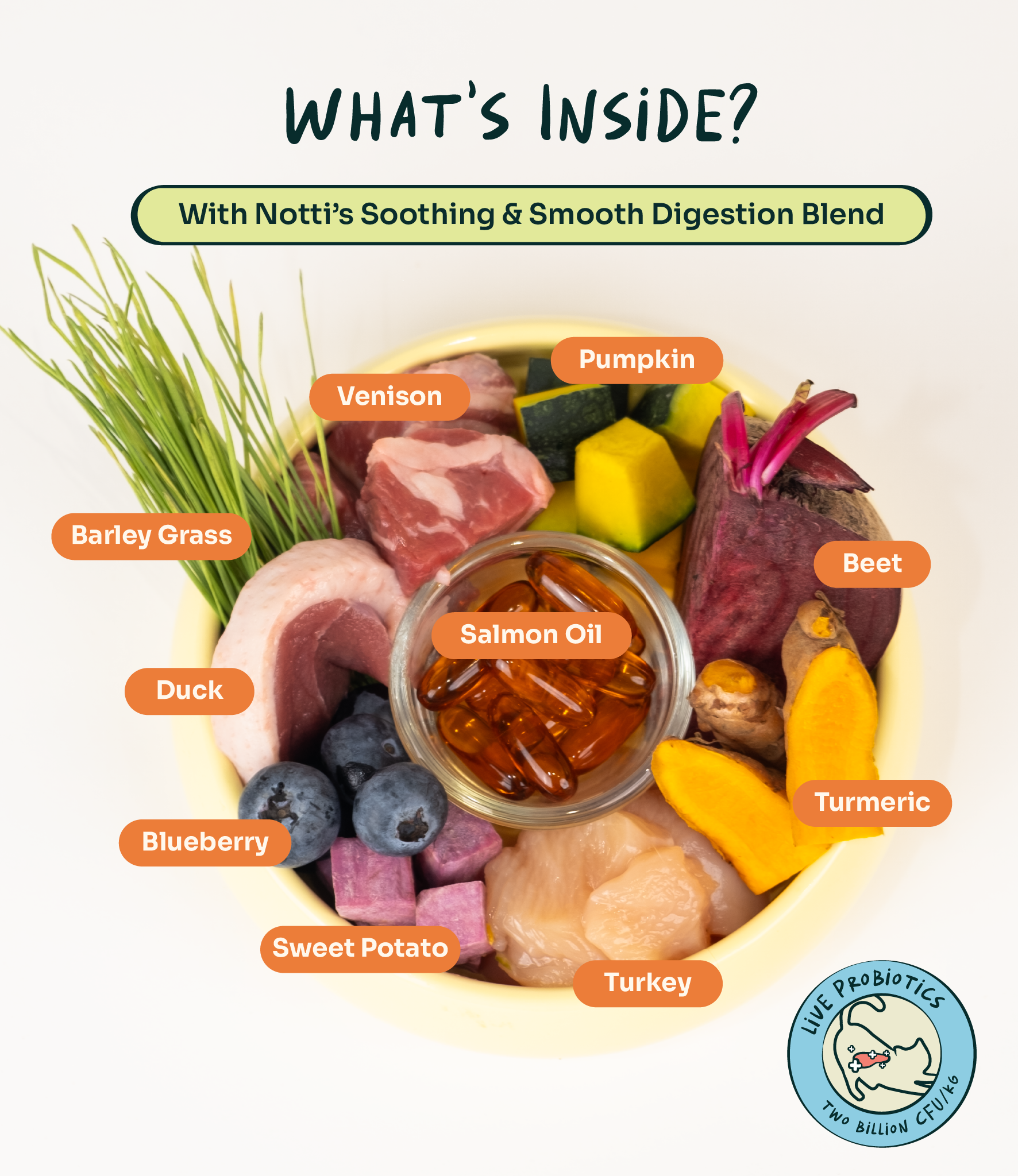 Notti Crunchy-Baked Digest Care Fresh Duck, Venison & Turkey Cat Dry Food