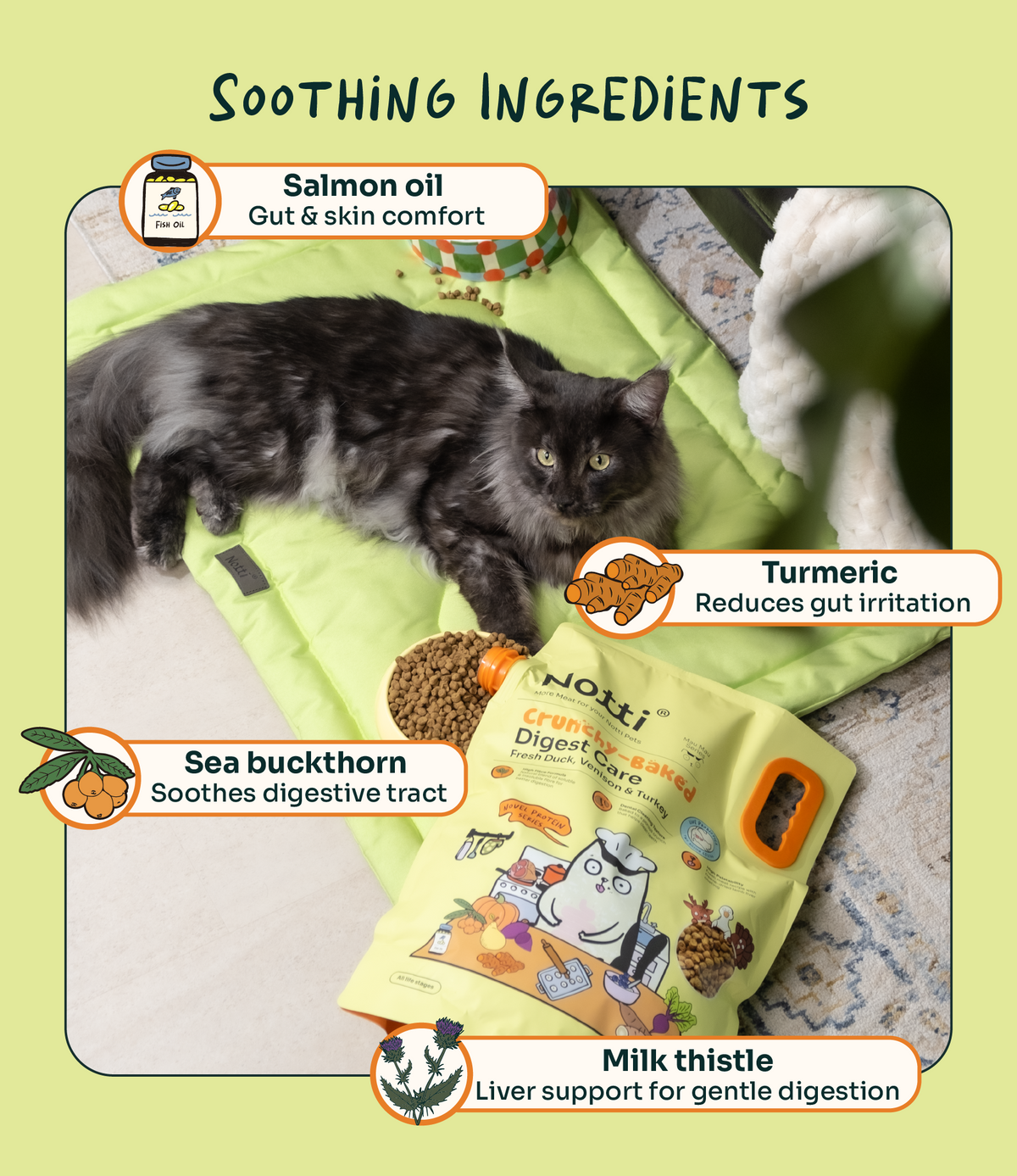 Notti Crunchy-Baked Digest Care Fresh Duck, Venison & Turkey Cat Dry Food