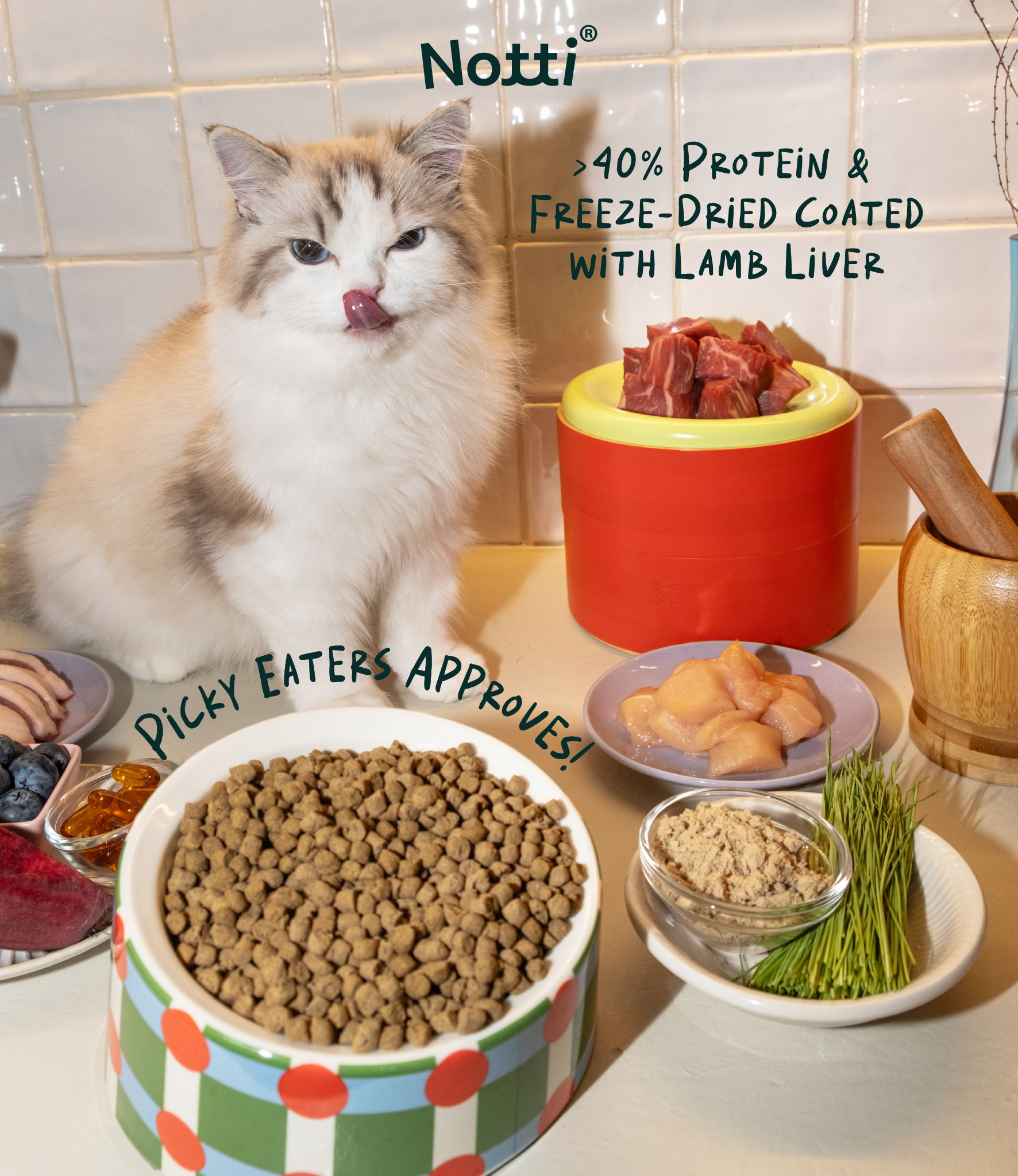 Notti Crunchy-Baked Digest Care Fresh Duck, Venison & Turkey Cat Dry Food