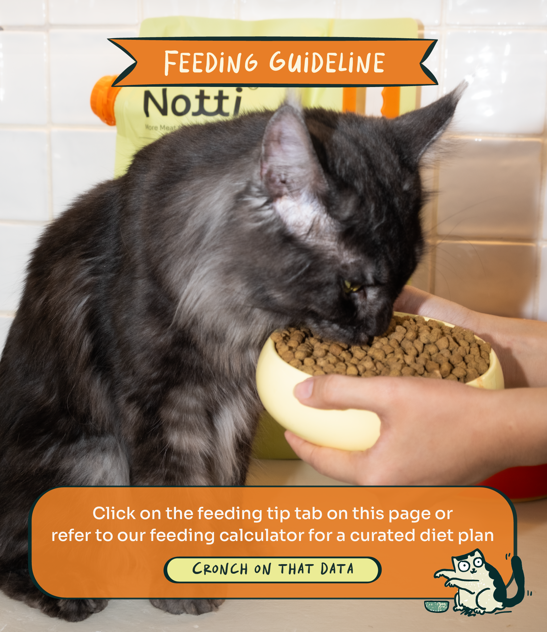 Notti Crunchy-Baked Digest Care Fresh Duck, Venison & Turkey Cat Dry Food