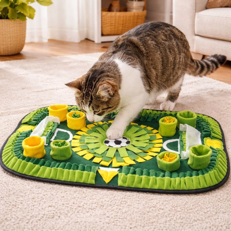 Football Field Snuffle Mat