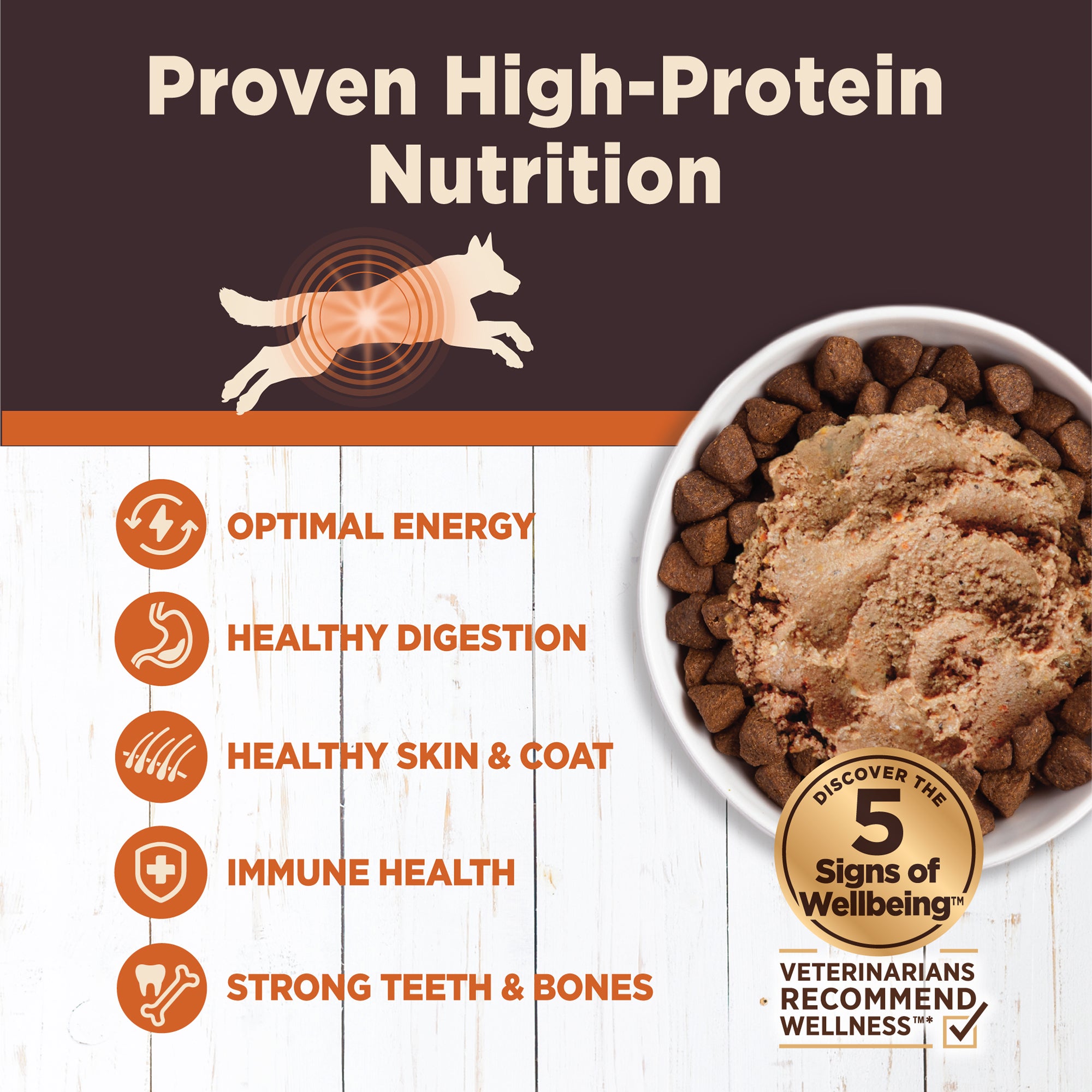 Wellness CORE Digestive Health Chicken Grain-Free Canned Wet Dog Food (13oz)