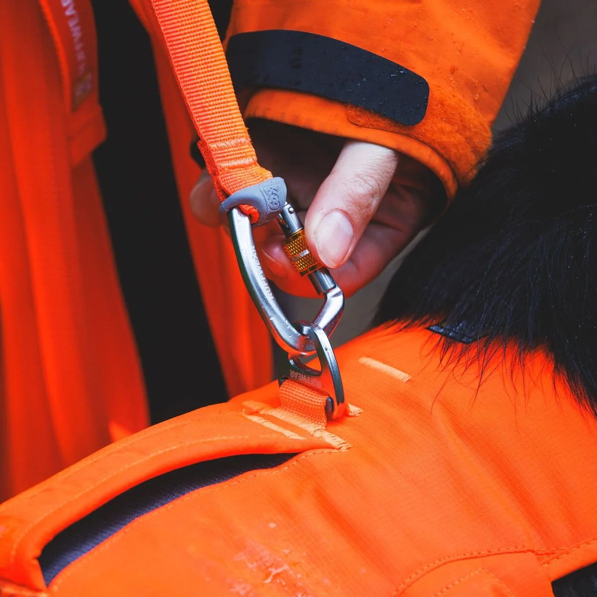 Rogue™ Long Line Dog Training Leash