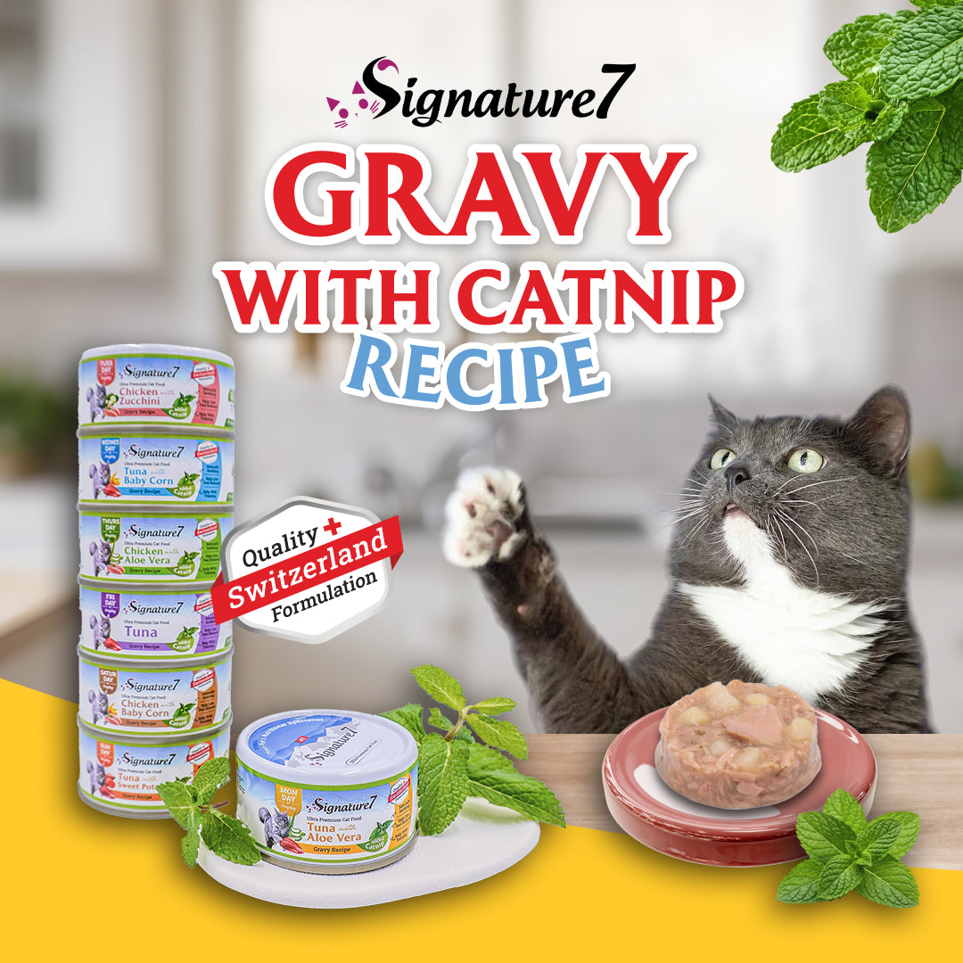 Tuna with Sweet Potato in gravy added Catnip Cat Wet Can Food (70g)