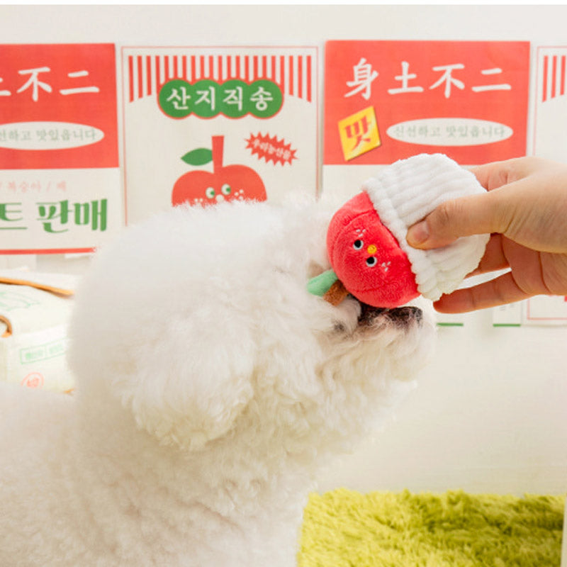 Mixed Fruits Box Nose Work Dog Toy