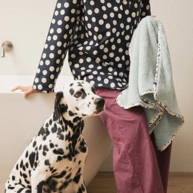 Bite Me x FINCA Dry Me Microfibre Pet Towel in Blue (2 Sizes)