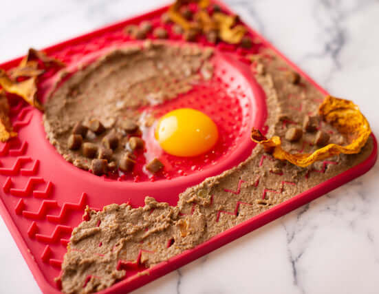 Therapeutic & Interactive Dog Lick Bowl & Feeder Mat