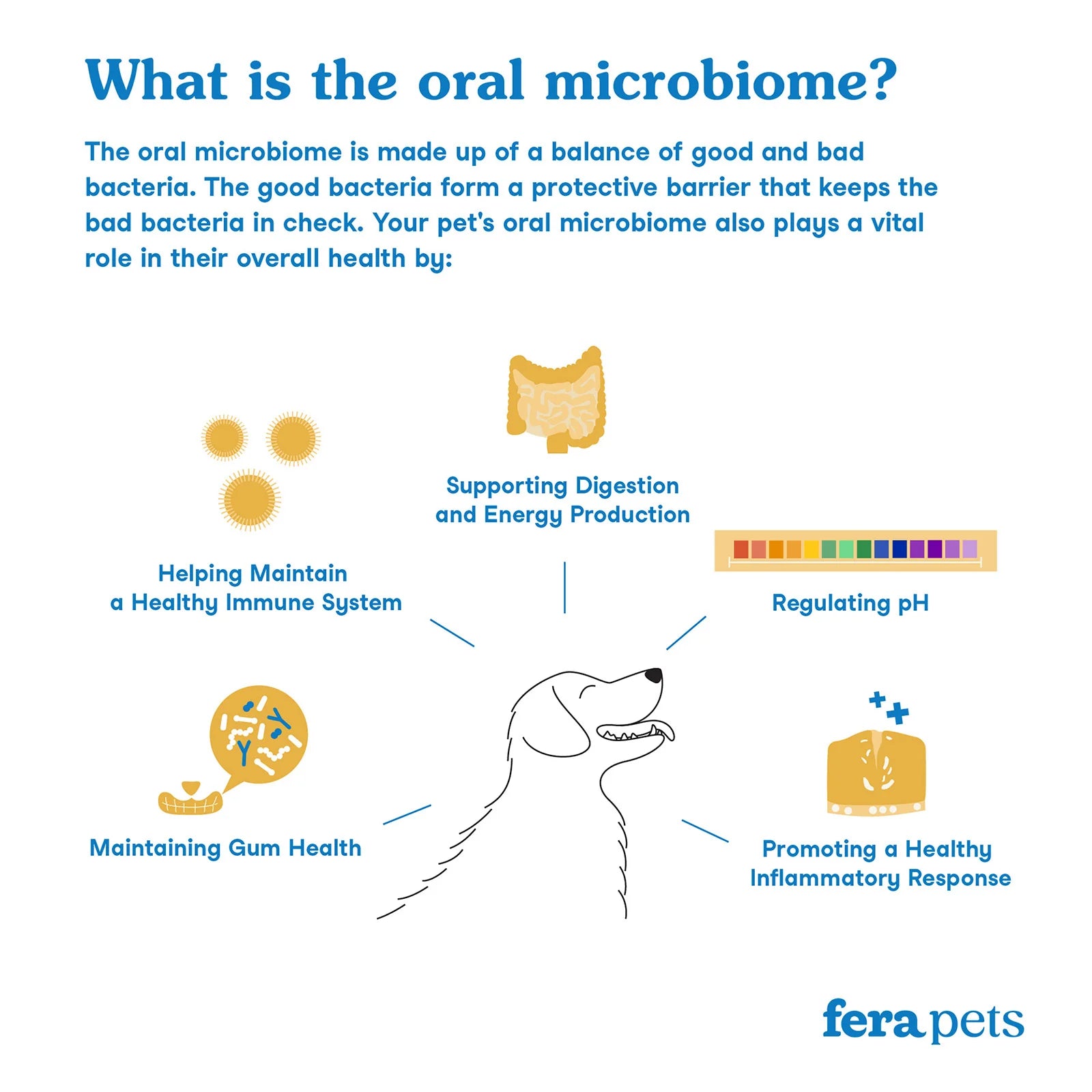 Dental Support For Cats & Dogs