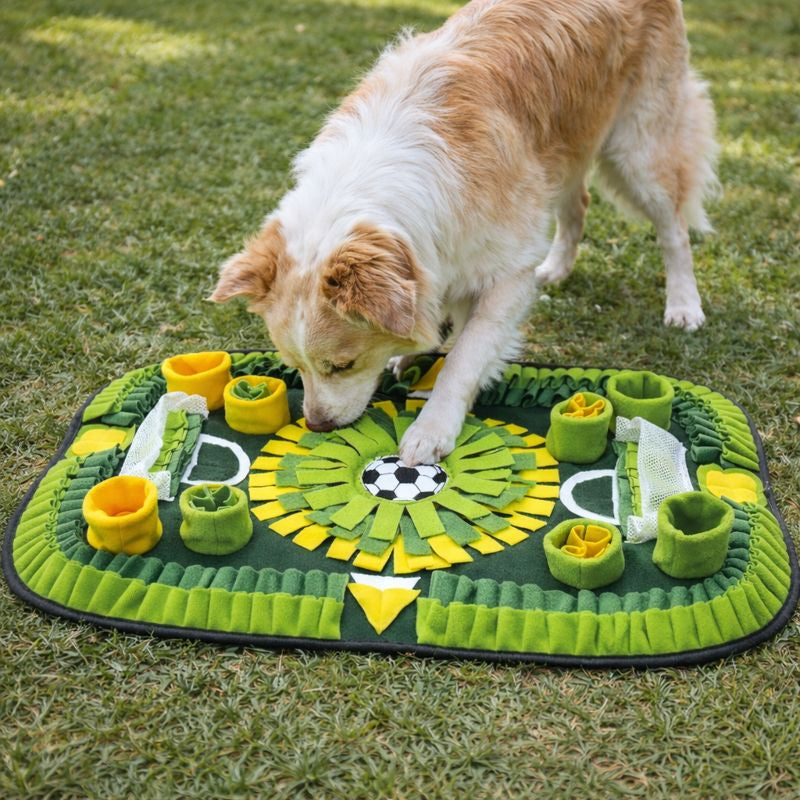 Football Field Snuffle Mat