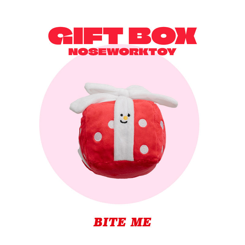 Gift Box Nosework Toy