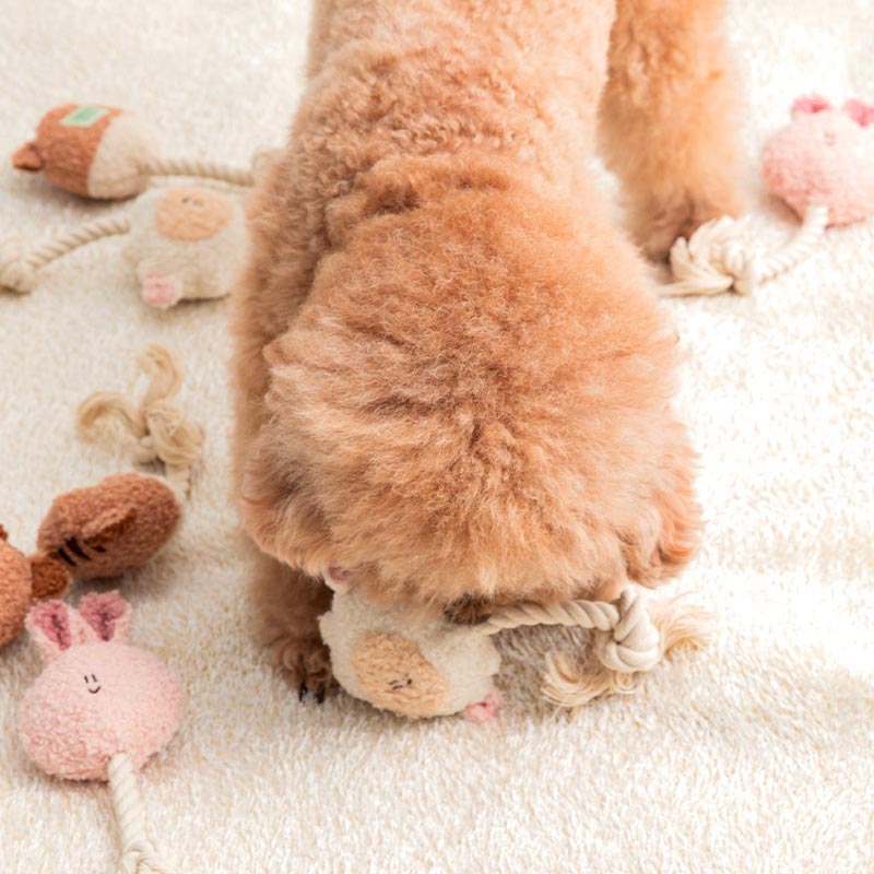 BonBon Green Furry Friends Rope Tug Toy (3 Designs)