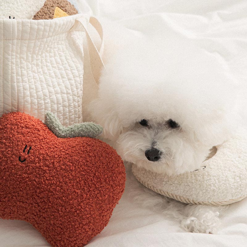 BonBon Green Eco-Friendly Home Buddy Cushion (3 Designs)