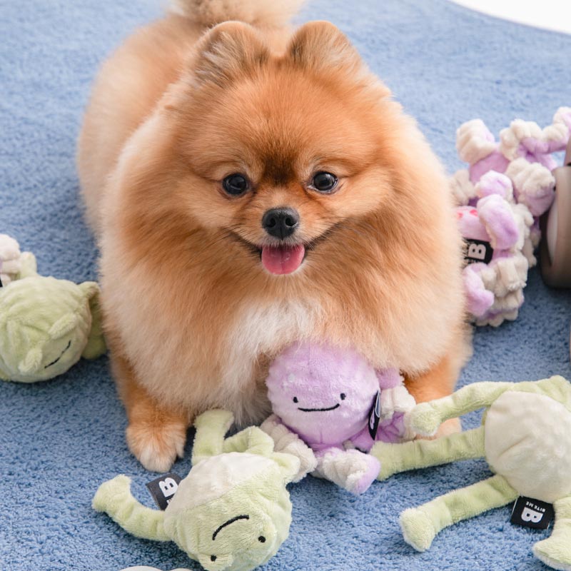 Long Hands Dog Ball Toy (Frog, Octopus)