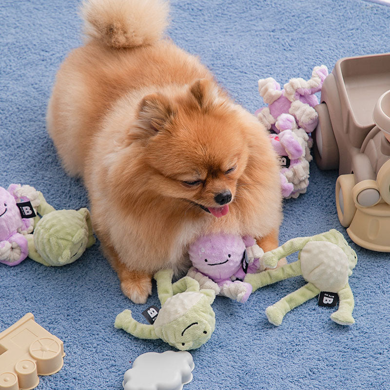 Long Hands Dog Ball Toy (Frog, Octopus)