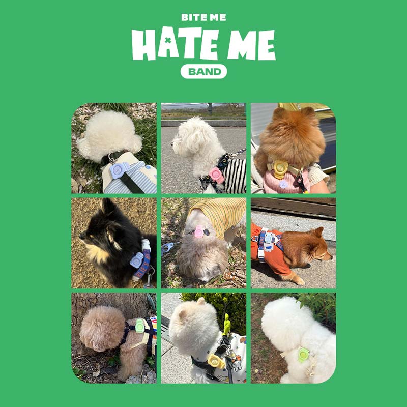 Hate Me Insect Repellent Band (4 Colours)