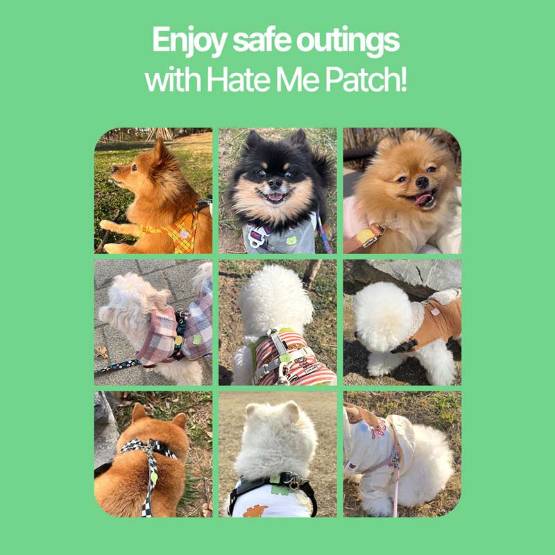 Hate Me Insect Repellent Patch (24 Pcs)