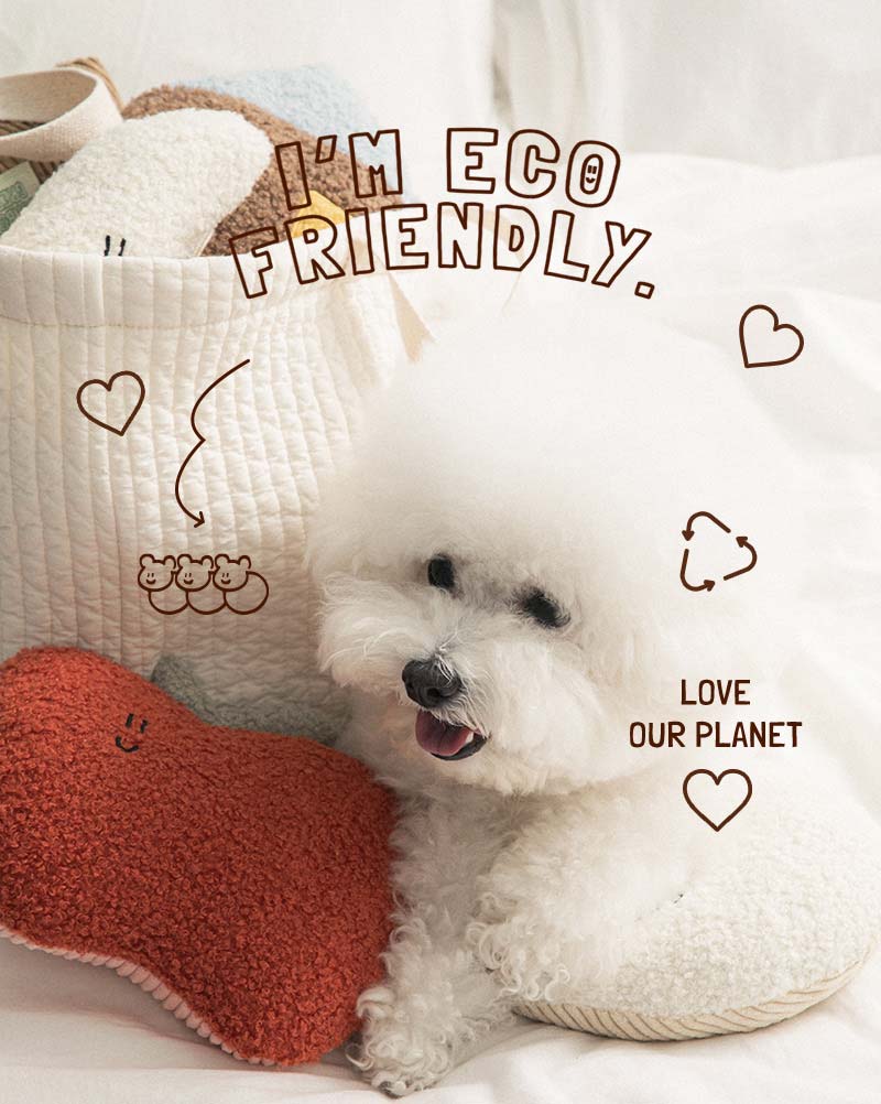 BonBon Green Eco-Friendly Home Buddy Cushion (3 Designs)