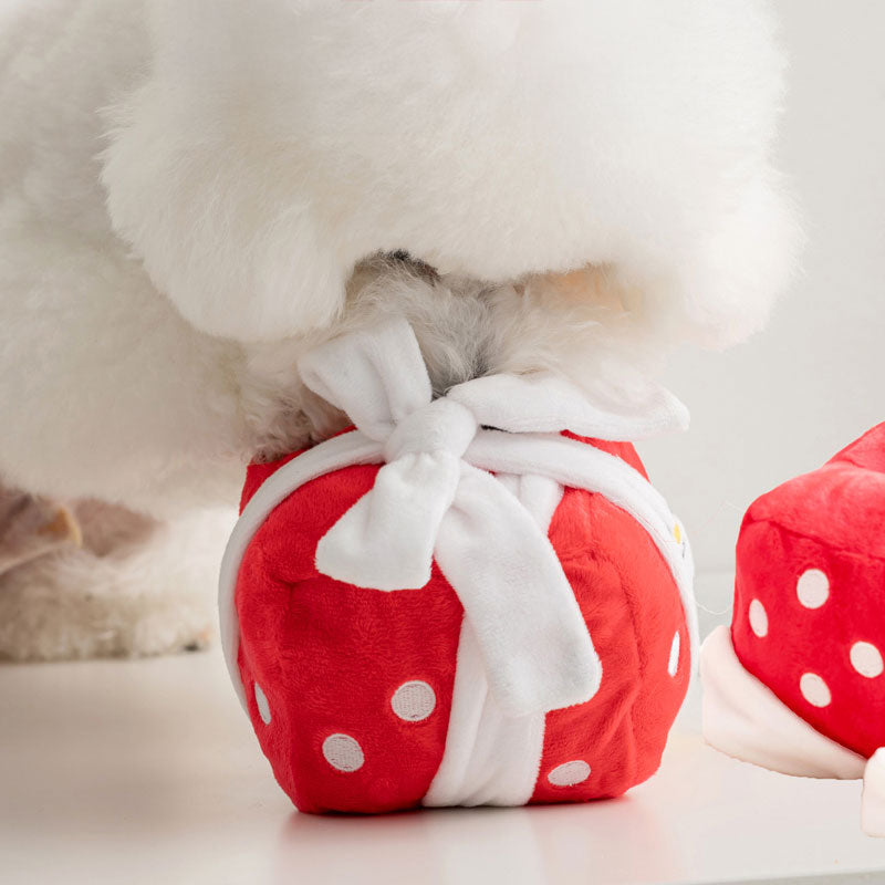 Gift Box Nosework Toy