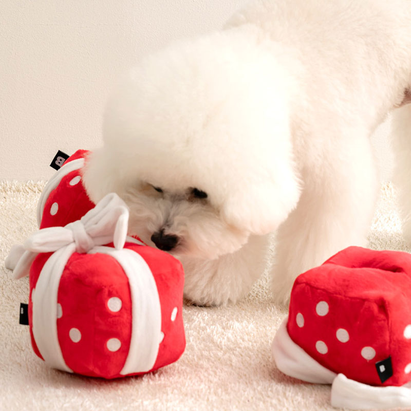 Gift Box Nosework Toy