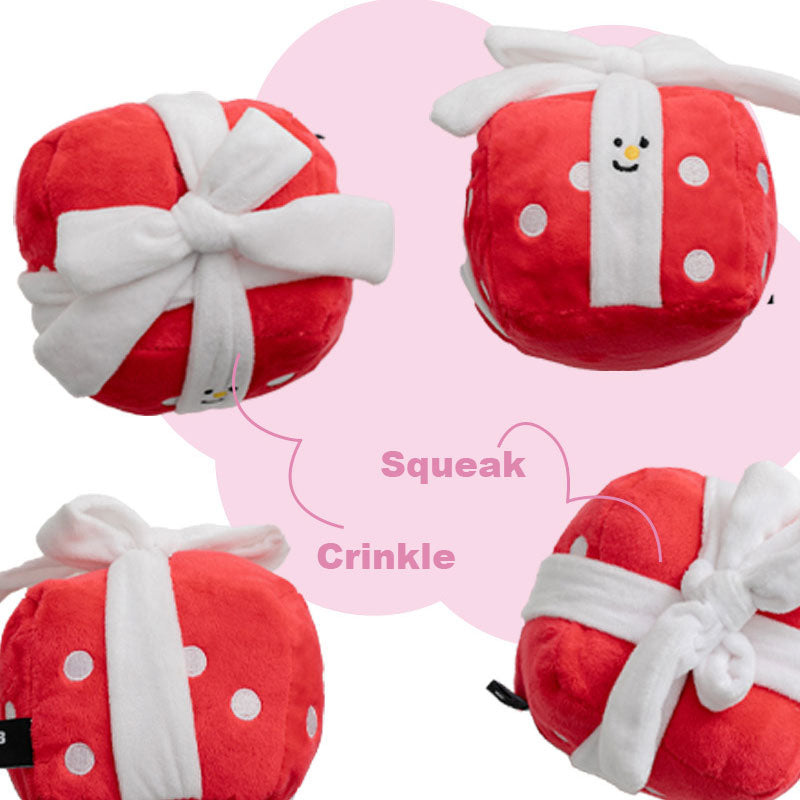 Gift Box Nosework Toy