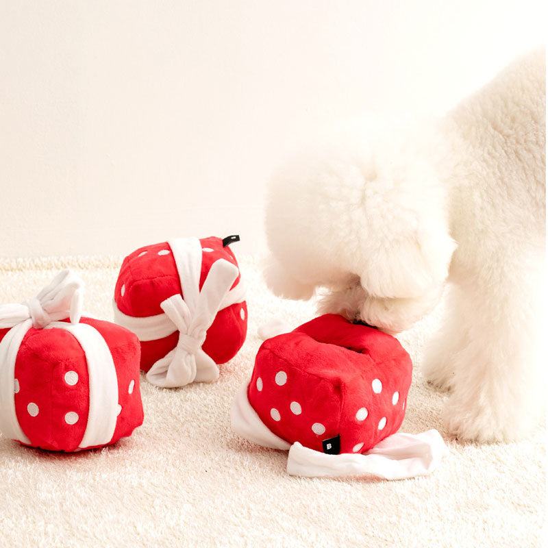 Gift Box Nosework Toy
