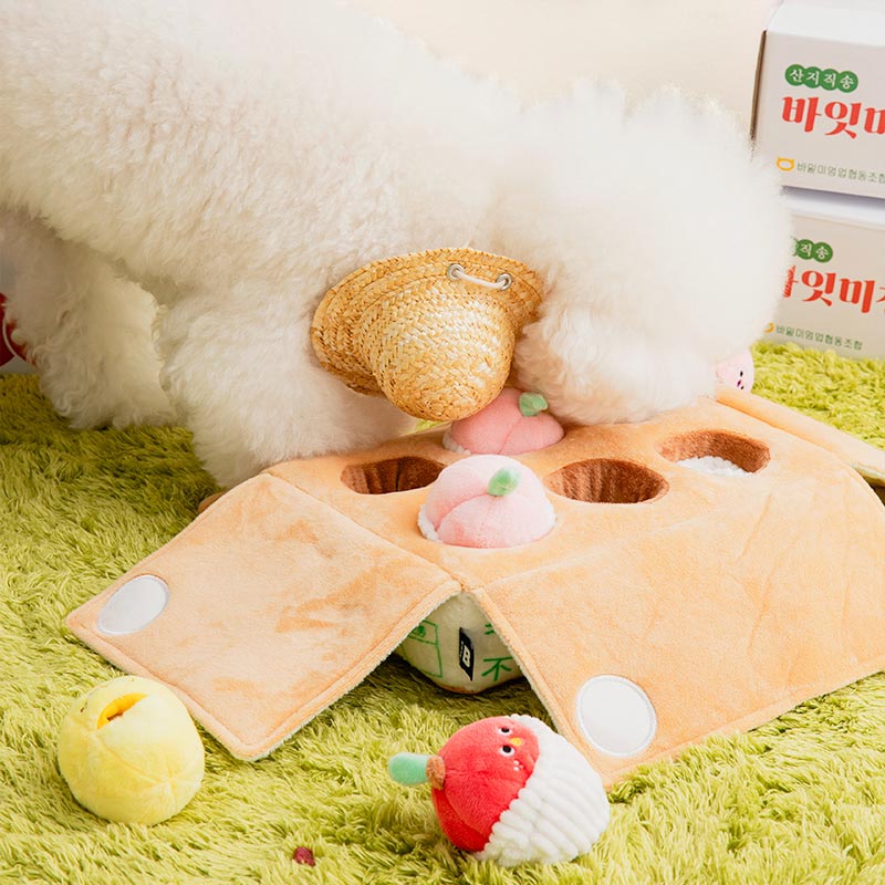 Mixed Fruits Box Nose Work Dog Toy