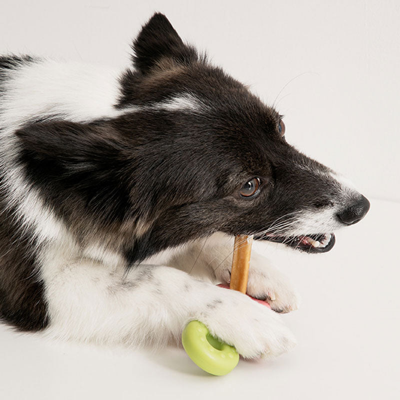 Easy Bite Grip Treat Toy