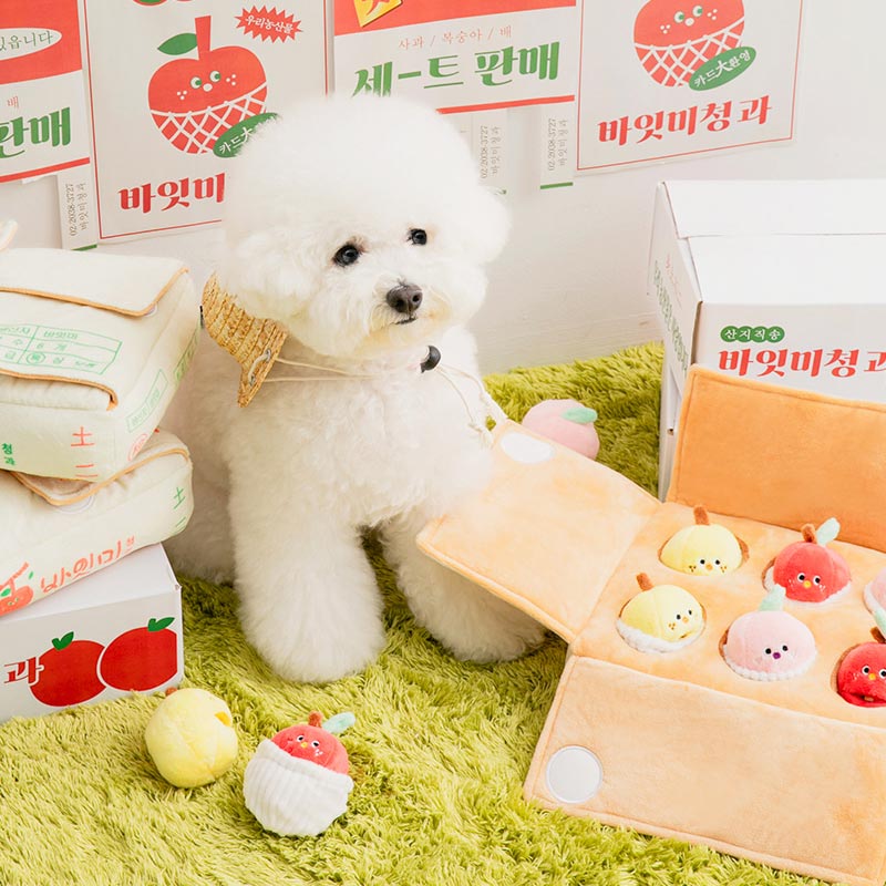 Mixed Fruits Box Nose Work Dog Toy
