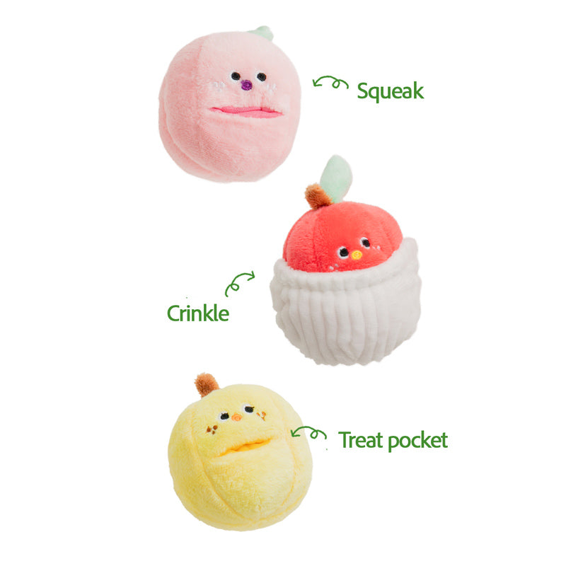 Mixed Fruits Box Nose Work Dog Toy