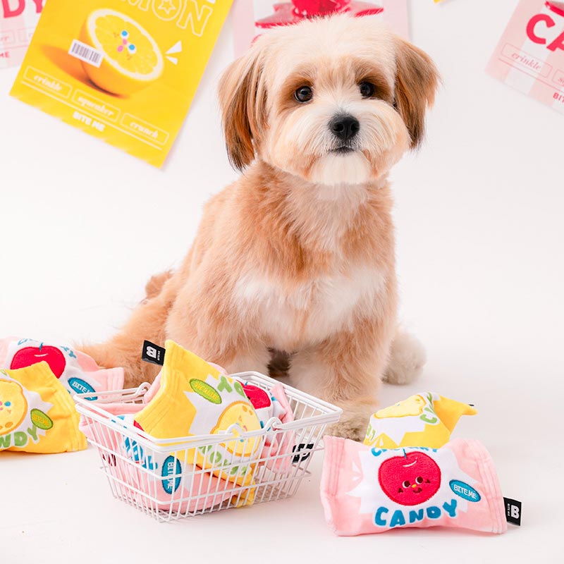 Crunchy Candy Ball Dog Toy (Lemon & Cherry)