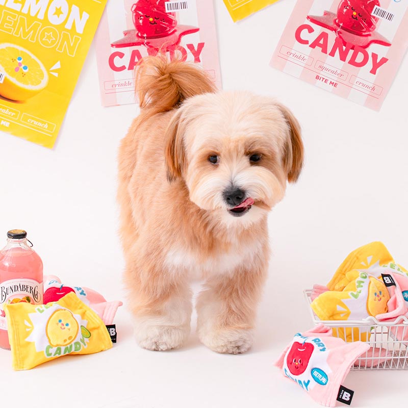 Crunchy Candy Ball Dog Toy (Lemon & Cherry)