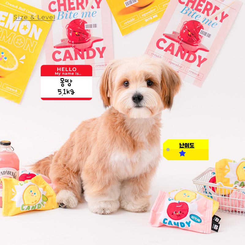 Crunchy Candy Ball Dog Toy (Lemon & Cherry)