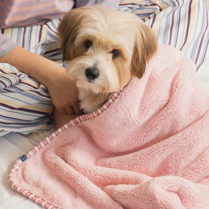 Bite Me x FINCA Dry Me Microfibre Pet Towel in Pink (2 Sizes)