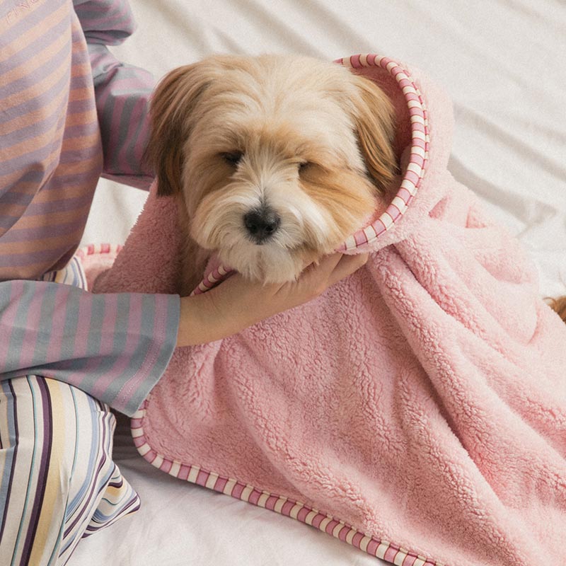 Bite Me x FINCA Dry Me Microfibre Pet Towel in Pink (2 Sizes)